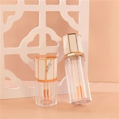 Tómt Lip Gloss Tube